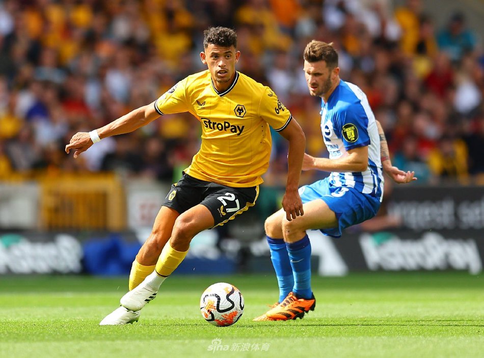 证明了他的 证明了他的