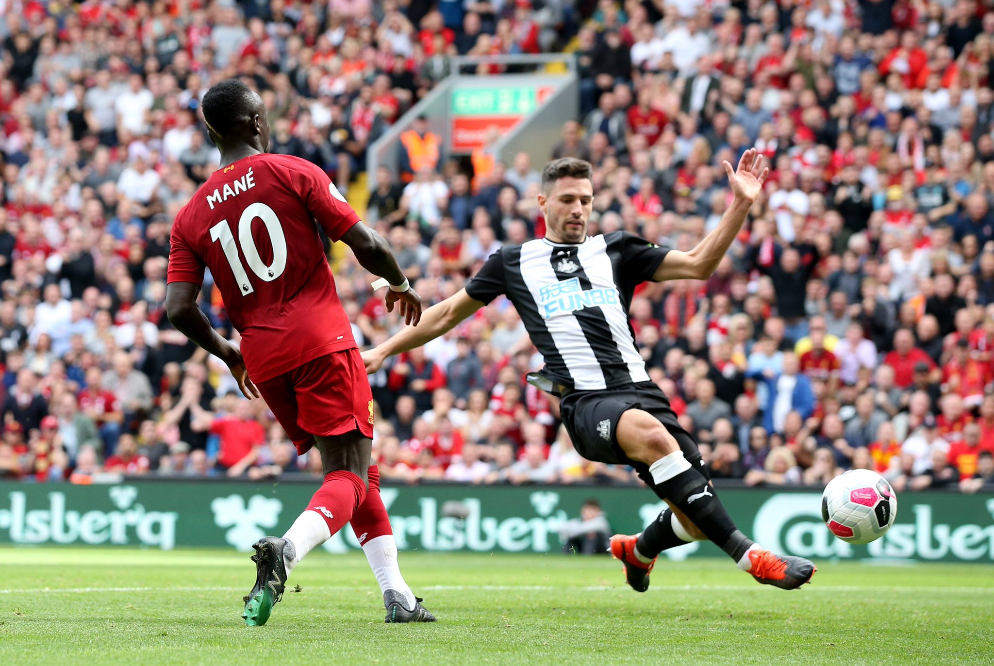 费尔南德斯 费尔南德斯